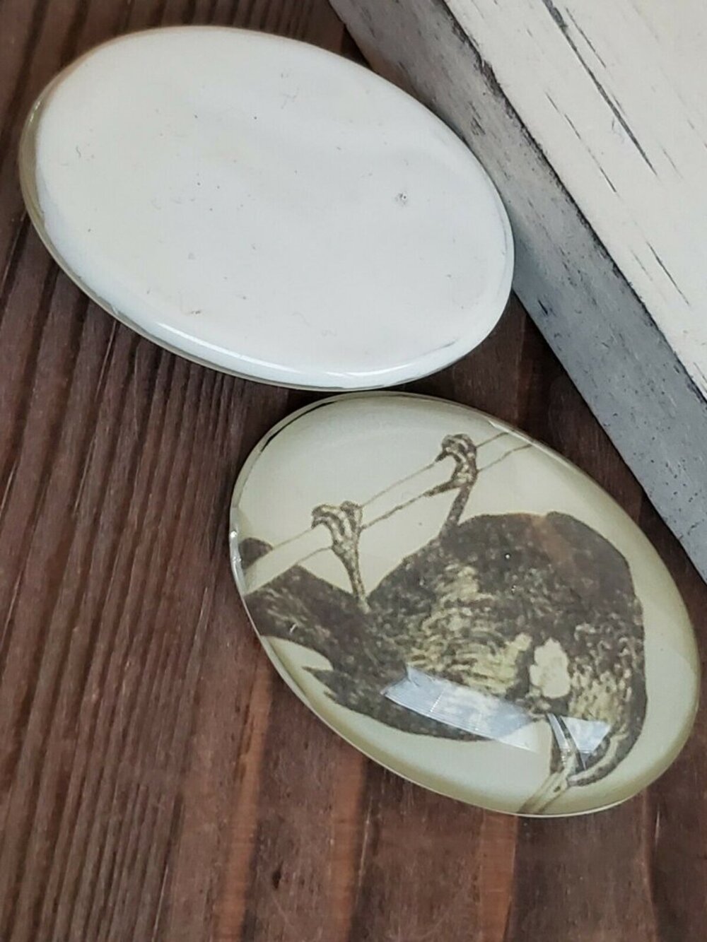 Edgar Allan Poe The Raven Victorian Gothic Bird Glass Oval Cabochon 40x30mm - Picture 7 of 10